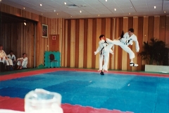 ACT Champion in action 1995