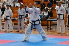 Australasians-twin vertical