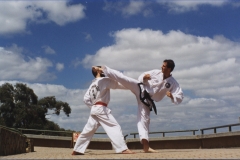 Danny reverse turning