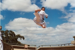 Flying side kick good