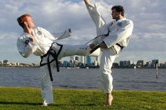 Pick shaped kick 2001