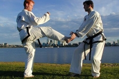 Twin palm pressing block